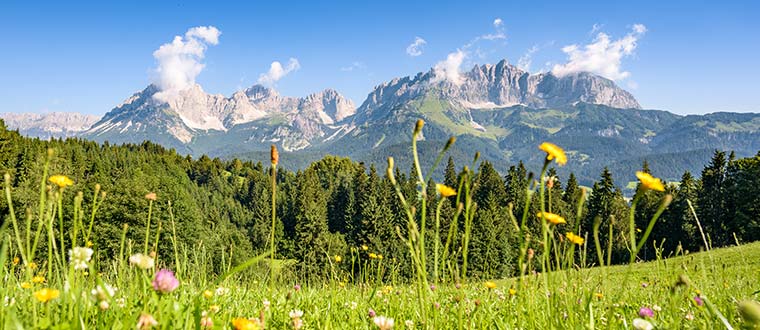 sterrike 7 dagar med vackra utflykter, en guldkant7 dagar